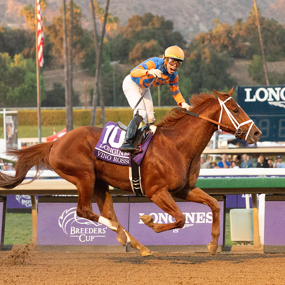 Vino Rosso - BC Classic | Just Horse Racing