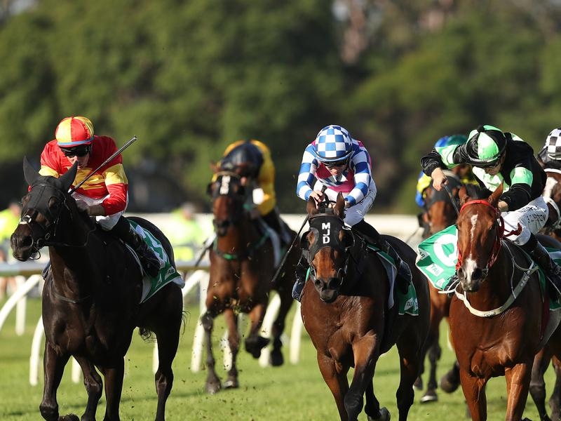 Warwick Farm Stockman | Just Horse Racing