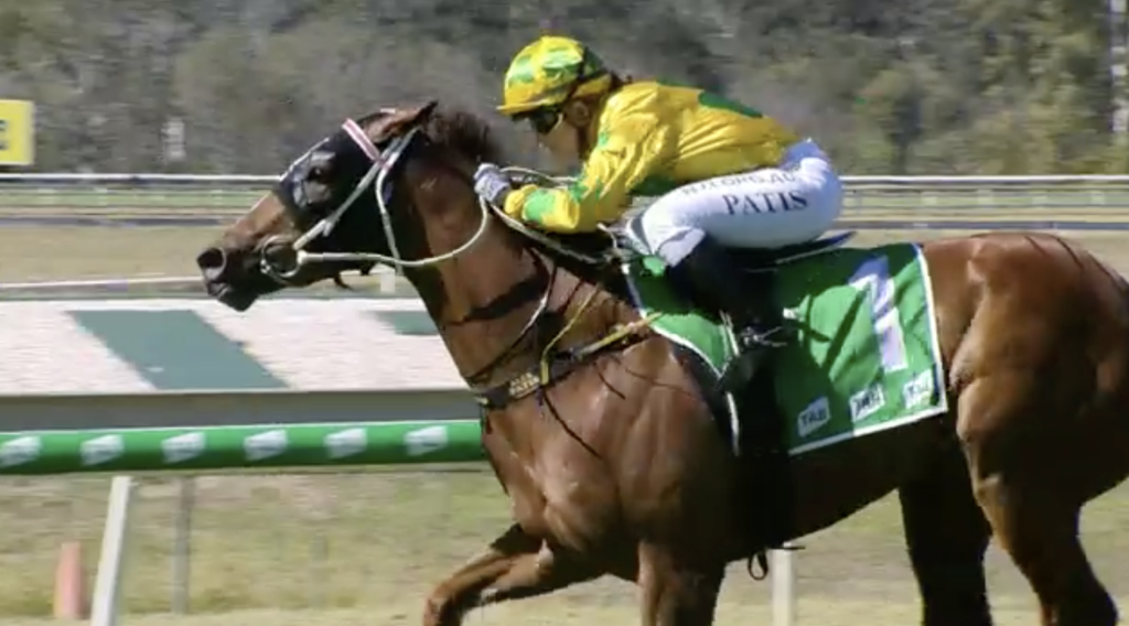 Bangers And Mayo | Just Horse Racing