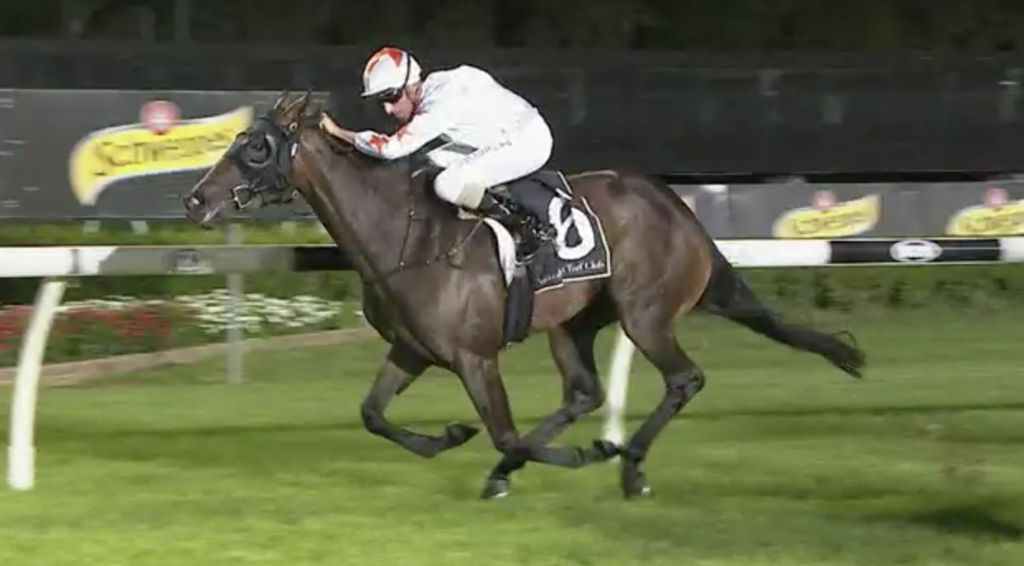 Best Stone | Just Horse Racing