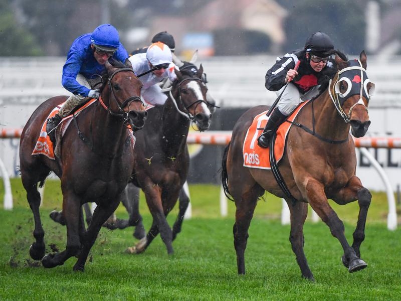 Caulfield | Just Horse Racing
