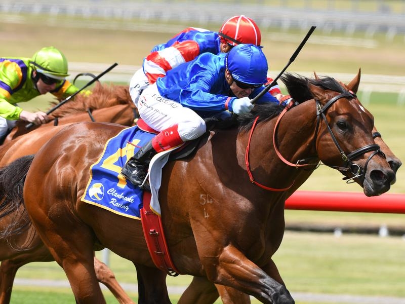 Caulfield | Just Horse Racing