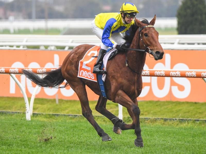 Caulfield Mystery | Just Horse Racing
