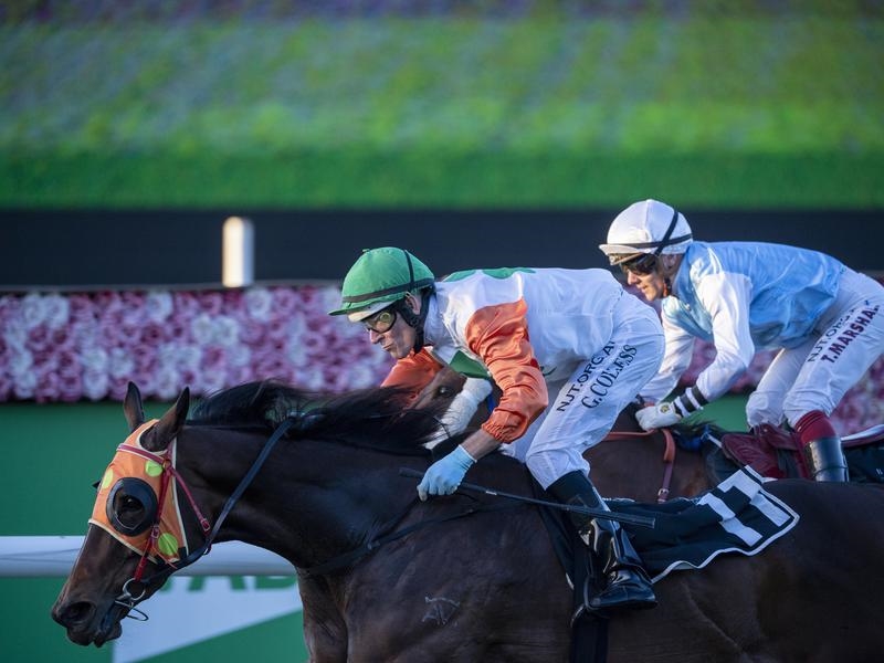 Eagle Farm | Just Horse Racing
