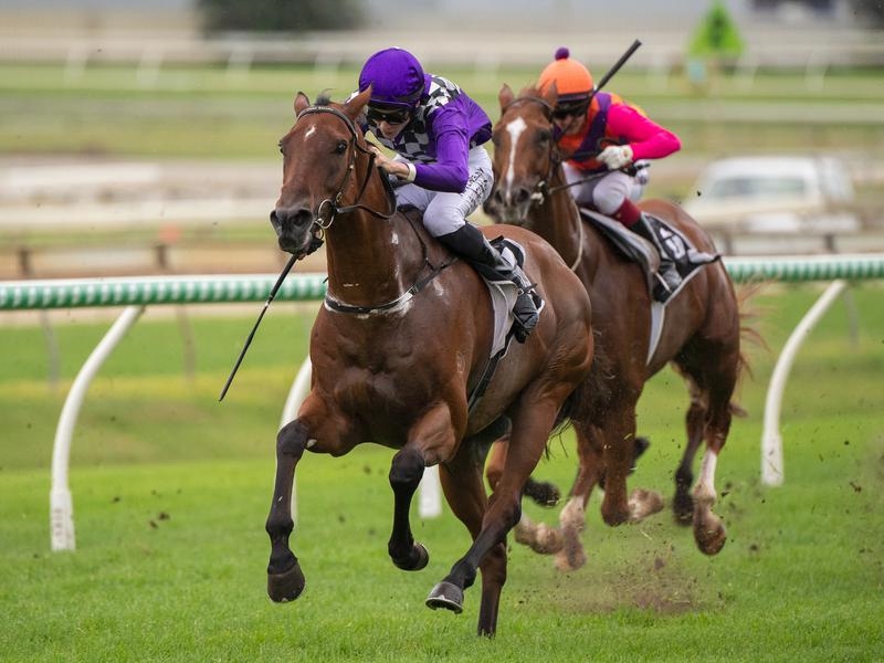 Eagle Farm Sabkhat | Just Horse Racing