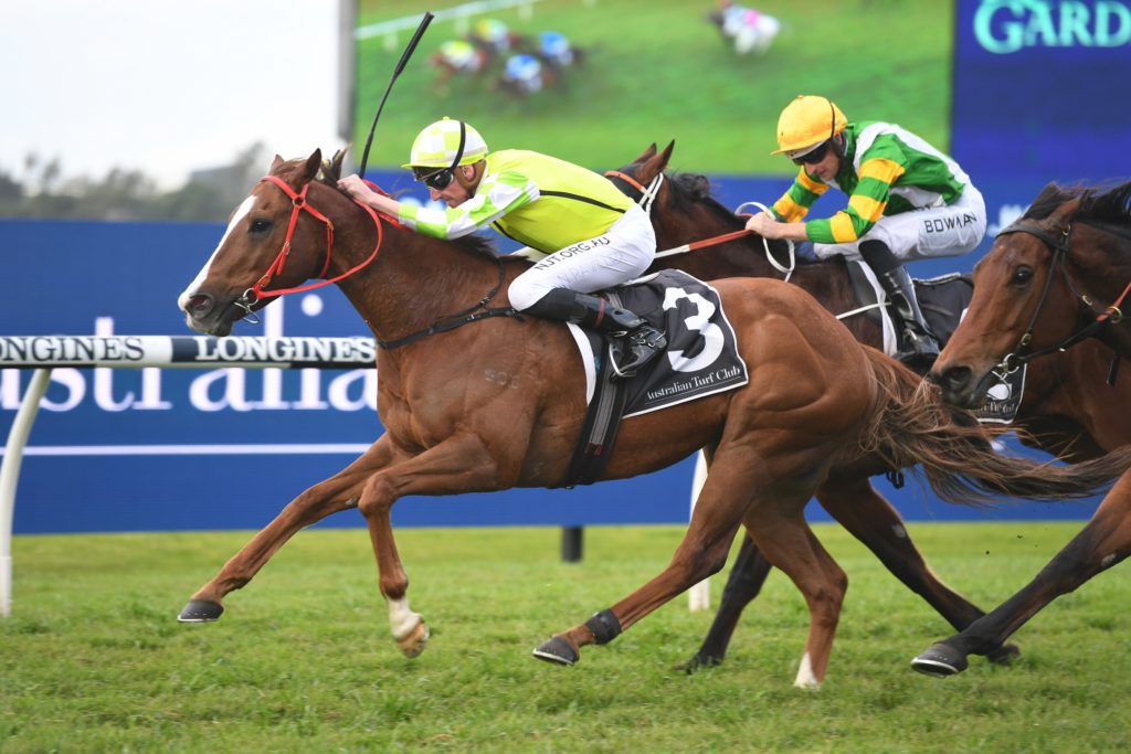 Eduardo 25072020 0952 | Just Horse Racing
