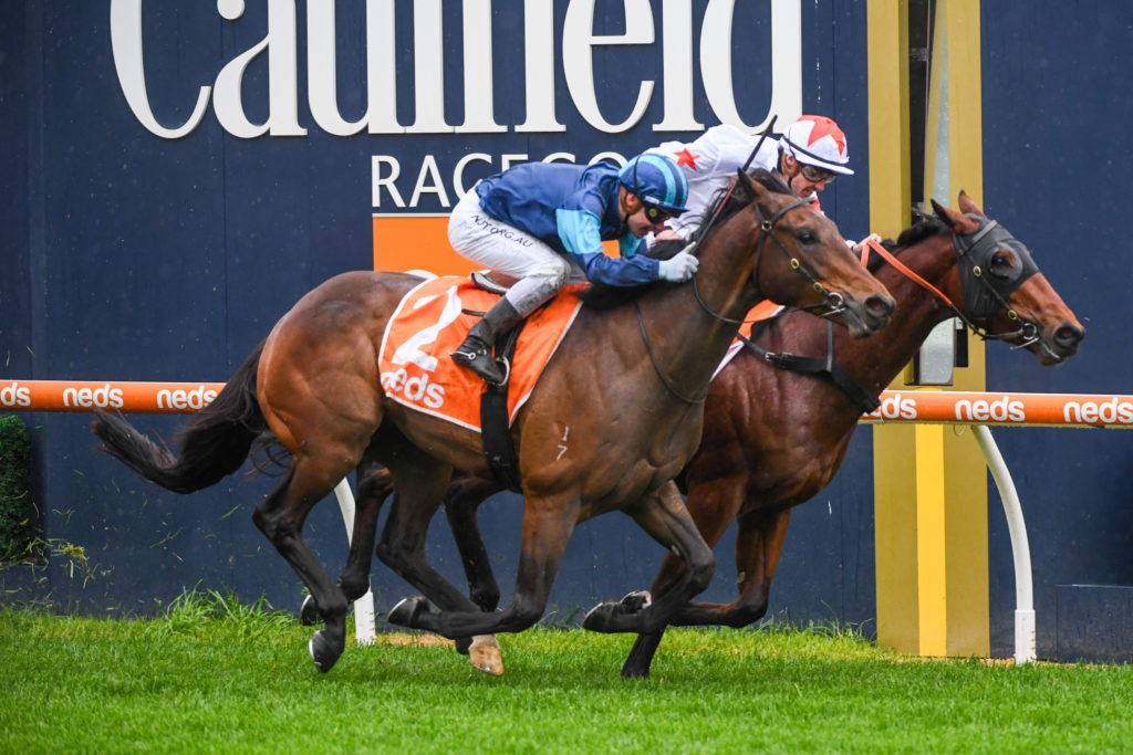 /r1/ | Just Horse Racing