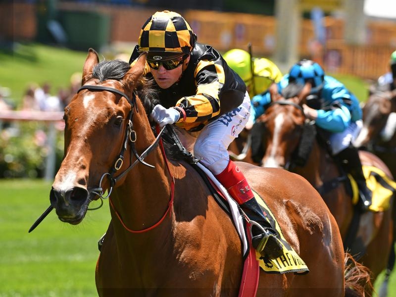 Gallops Behemoth | Just Horse Racing