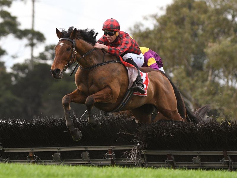 Gallops National | Just Horse Racing