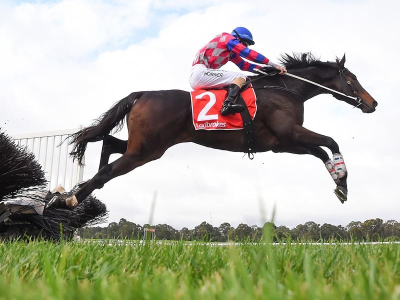 Gallops National | Just Horse Racing