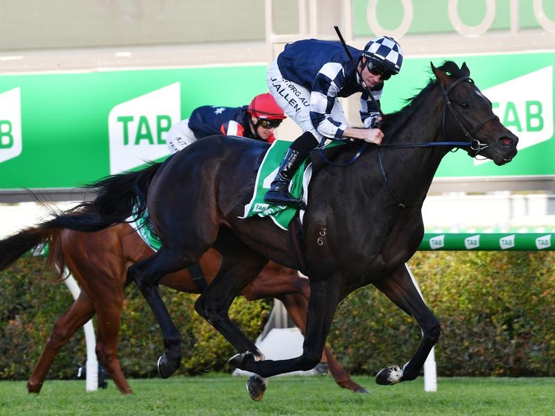 Gallops O'Brien | Just Horse Racing