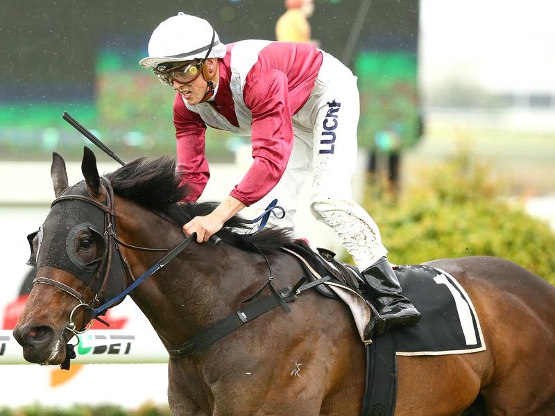 Ipswich | Just Horse Racing