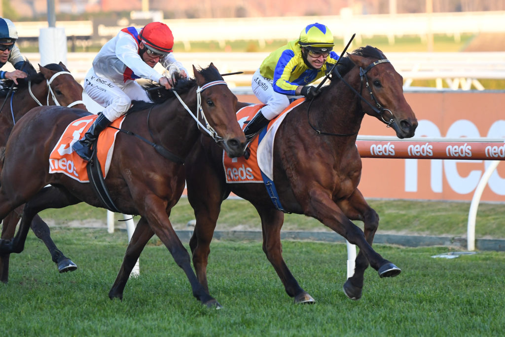 /r9/ | Just Horse Racing