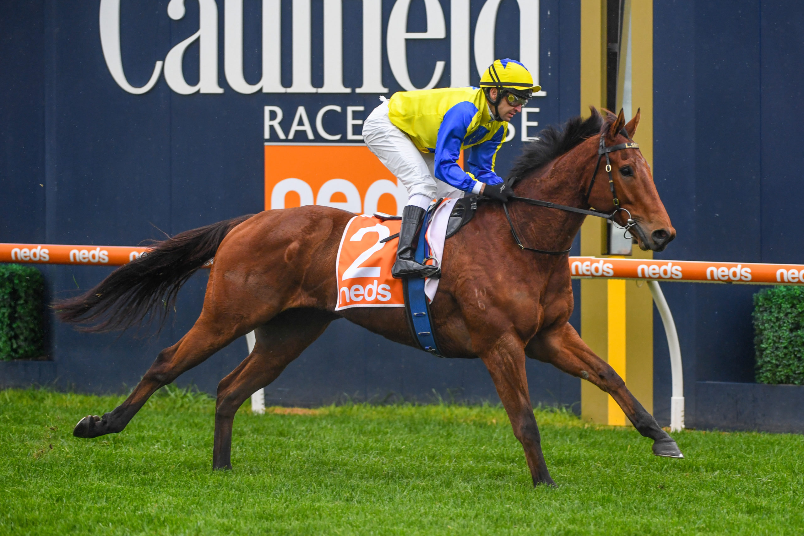 Unbeaten galloper out to earn Shot at All Star Mile - Vimarsana News