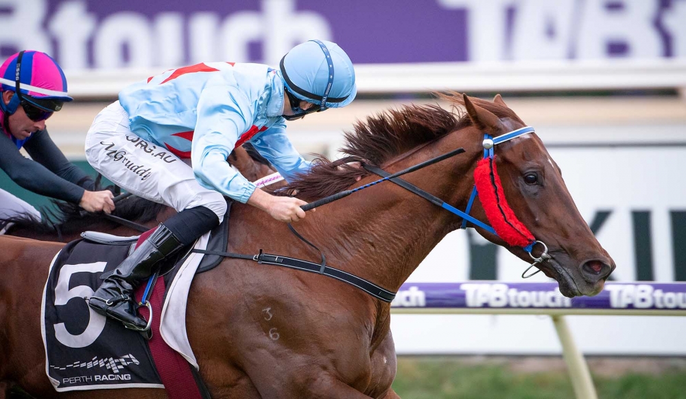 Red Can Man | Just Horse Racing