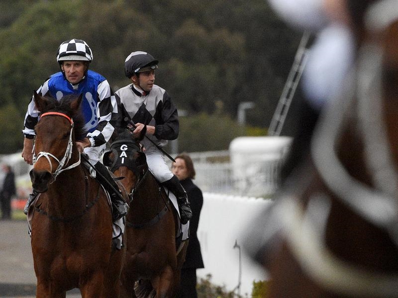 Rosehill | Just Horse Racing