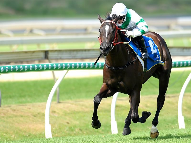 Sunshine Coast Kisukano | Just Horse Racing
