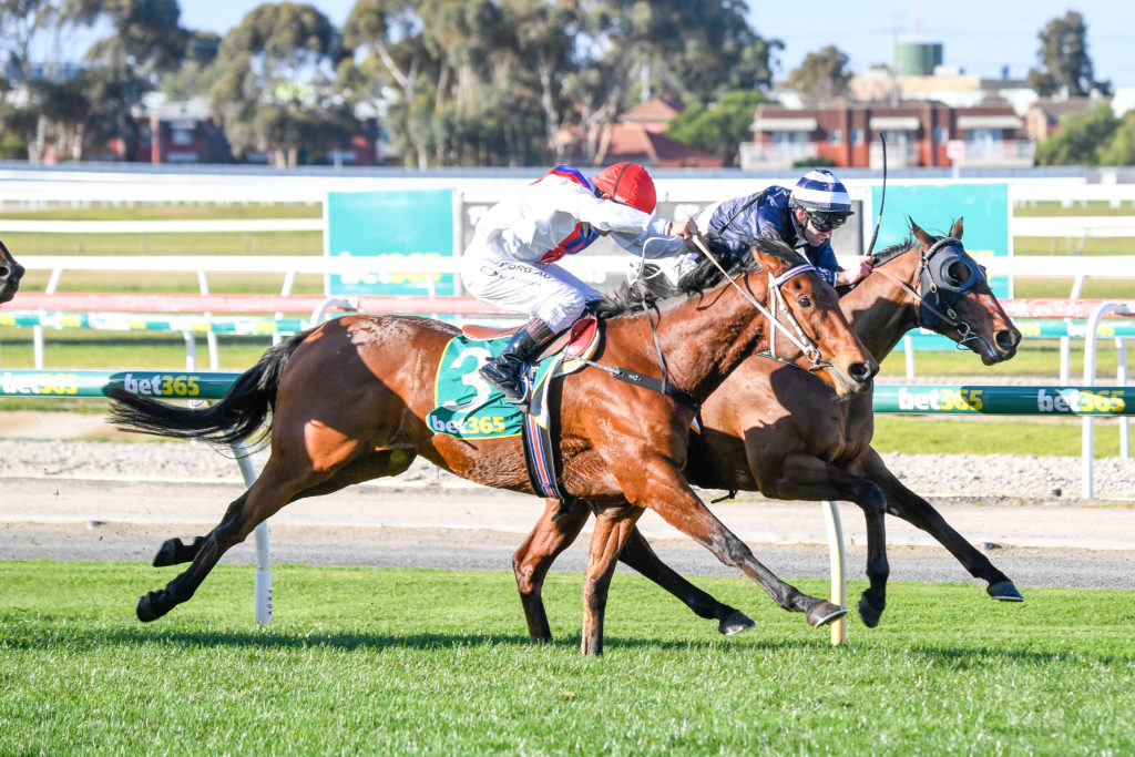 /r5/ | Just Horse Racing