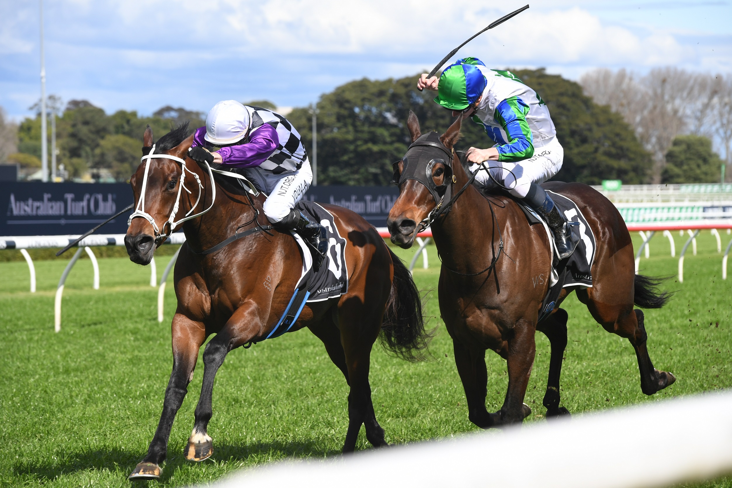 All Saint’s Eve 15082020 3982 | Just Horse Racing