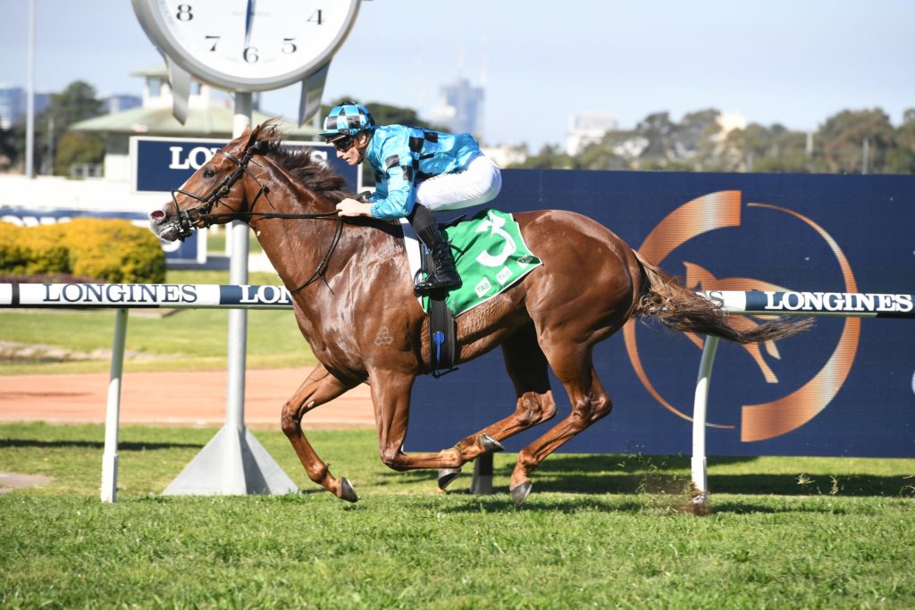 Anders 29082020 6572 | Just Horse Racing