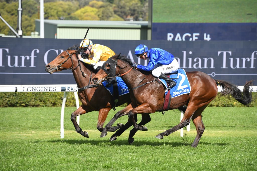 Dame Giselle 22082020 5209 | Just Horse Racing