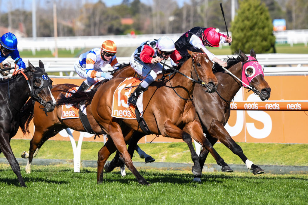 /r6/ | Just Horse Racing