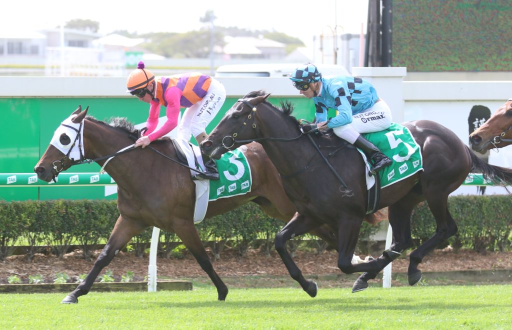 Eelloh (2) | Just Horse Racing