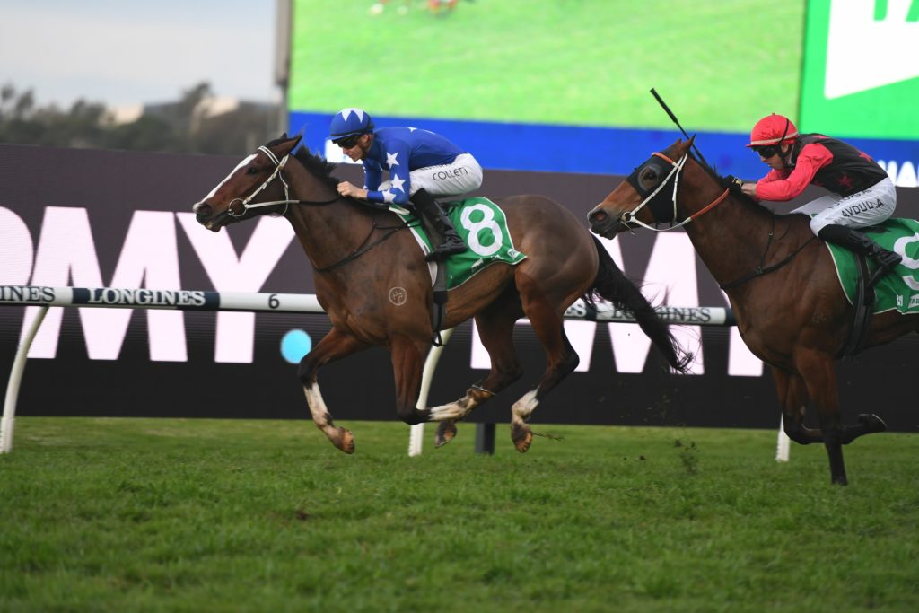 Fender 08082020 3859 | Just Horse Racing