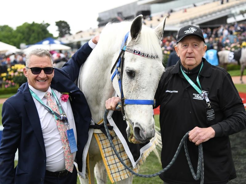 Gallops SUBZERO | Just Horse Racing