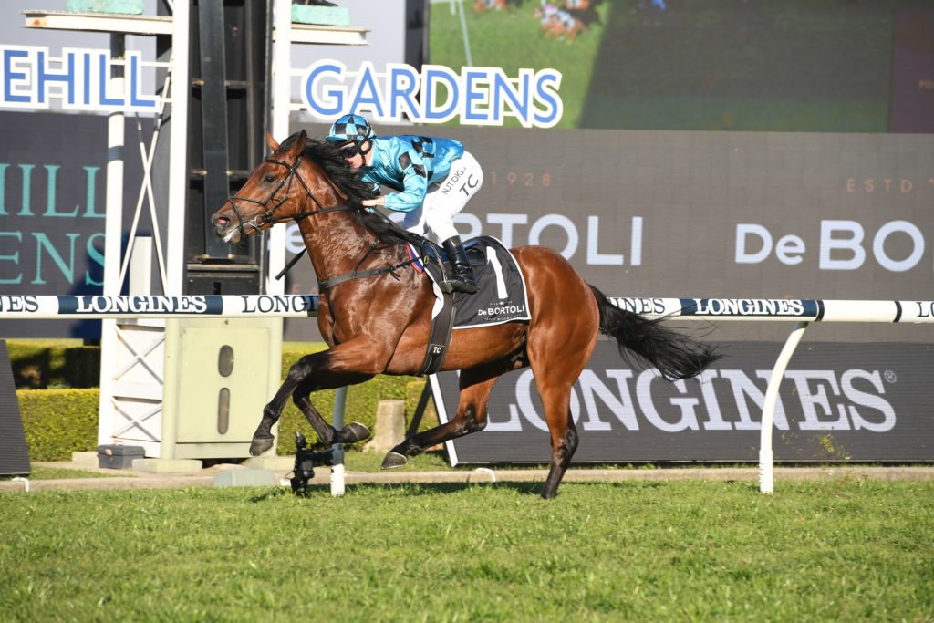 Holyfield 29082020 6853 | Just Horse Racing
