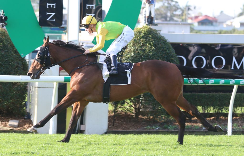 Just Orm (3) | Just Horse Racing