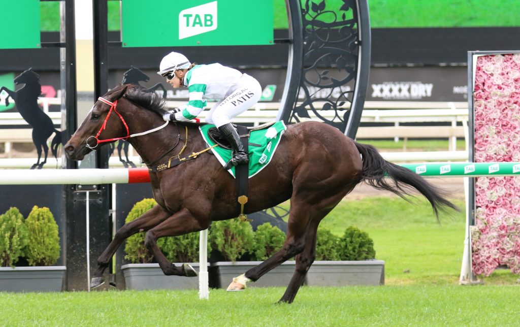 Kisukano (1) | Just Horse Racing