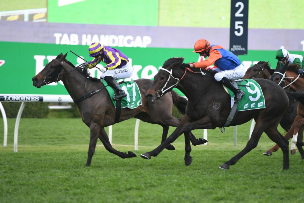 McCormack 22082020 5846 | Just Horse Racing