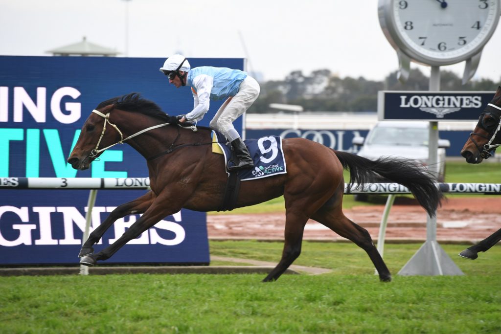 Montefilia 08082020 2935 | Just Horse Racing