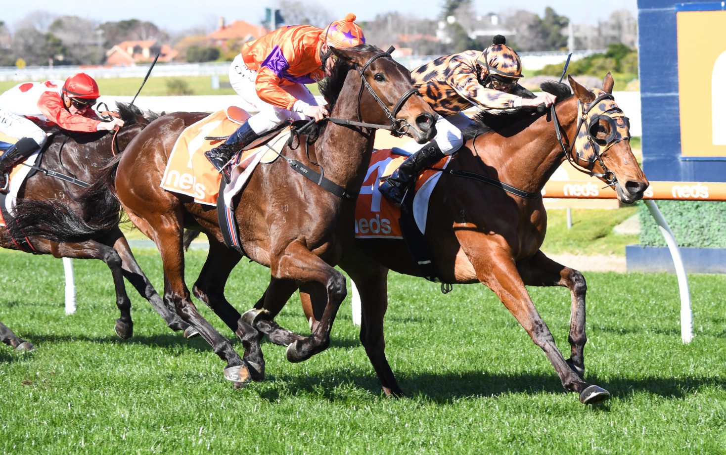 moe races today results
