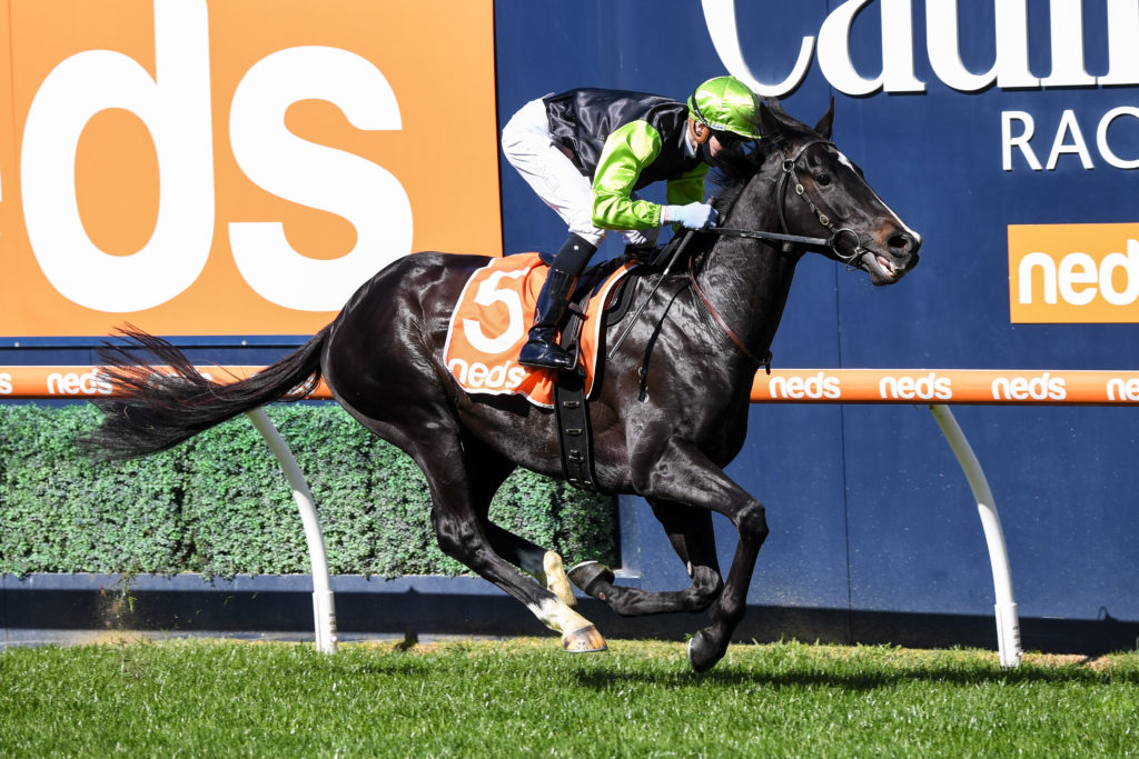 /r1/ | Just Horse Racing