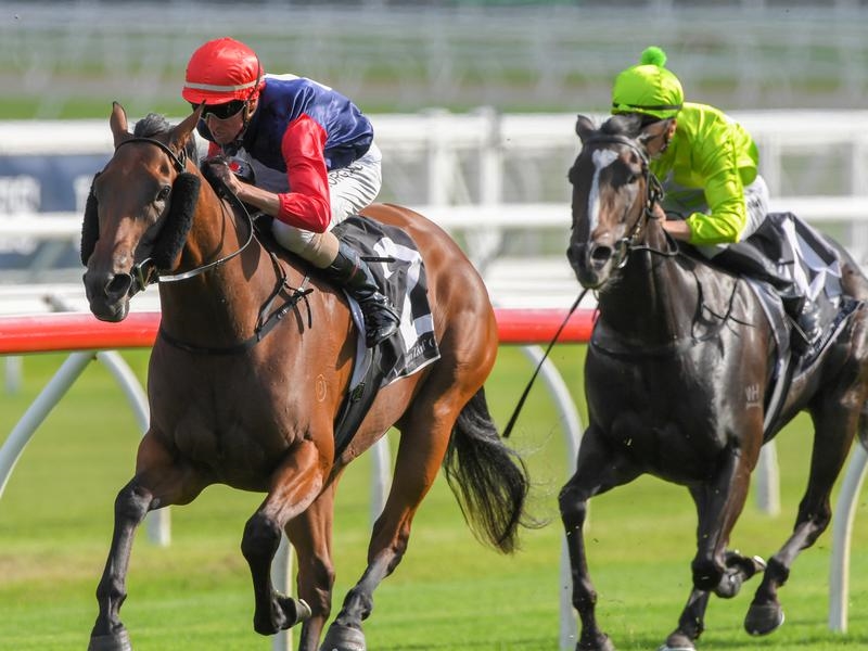 Randwick Deal | Just Horse Racing