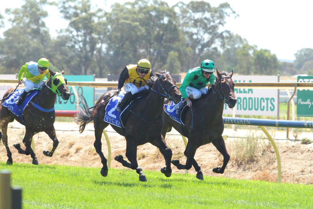 /r1/ | Just Horse Racing