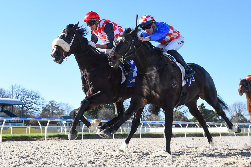 /r1/ | Just Horse Racing