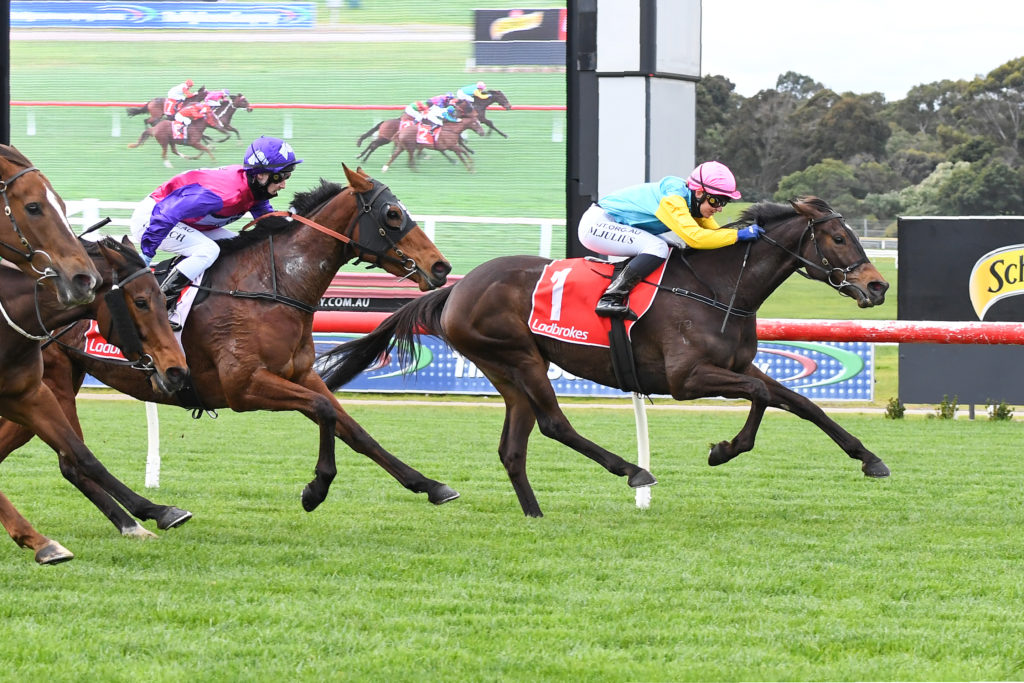/r1/ | Just Horse Racing