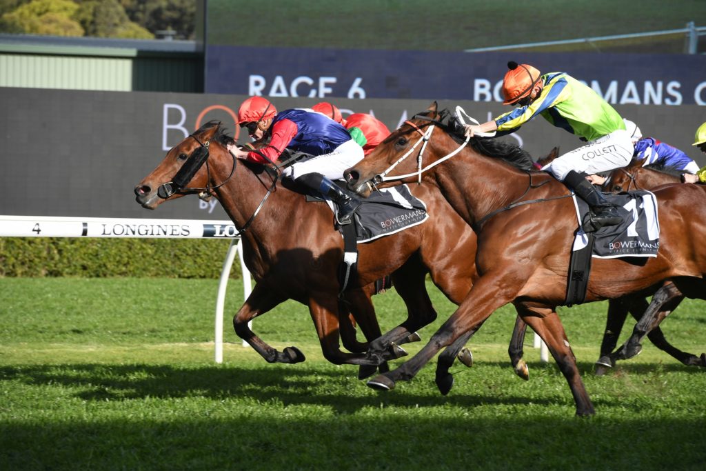 Sweet Deal 22082020 5473 | Just Horse Racing