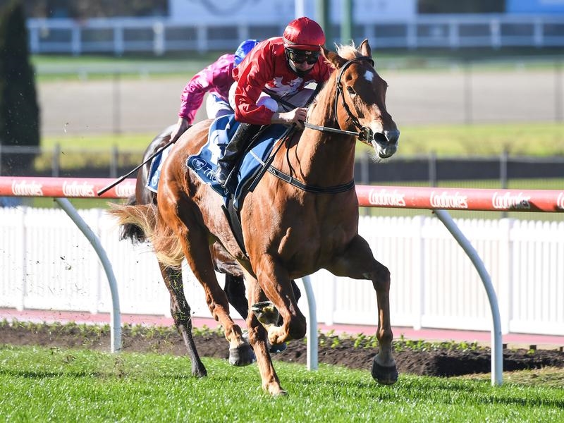 Valley | Just Horse Racing