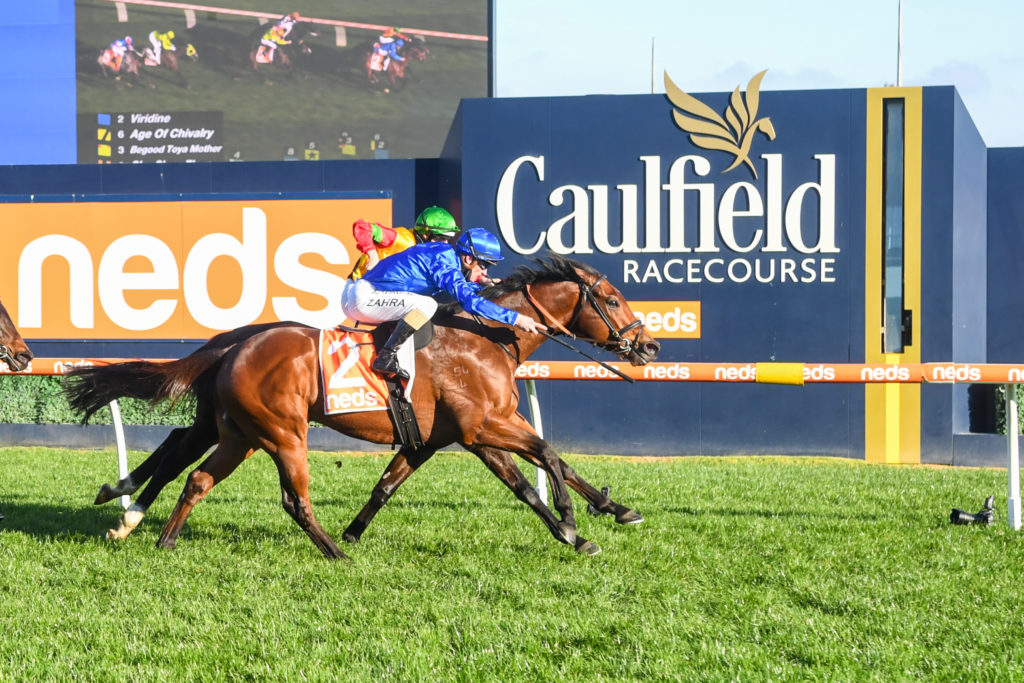 /r7/ | Just Horse Racing