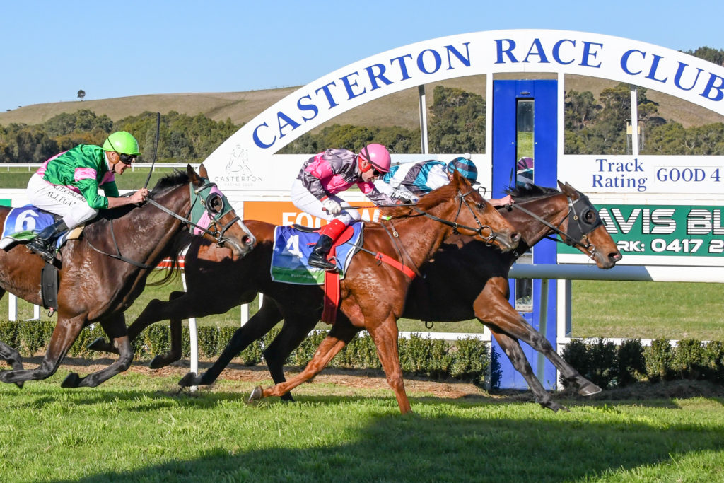19/5/2024 Horse Racing Tips and Best Bets – Casterton, Casterton Cup day