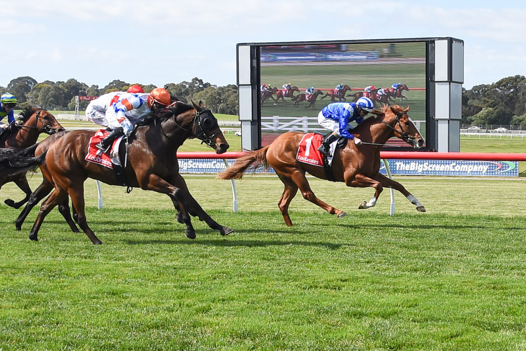 /r3/ | Just Horse Racing