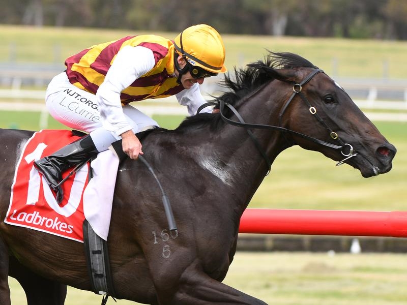 Caulfield | Just Horse Racing