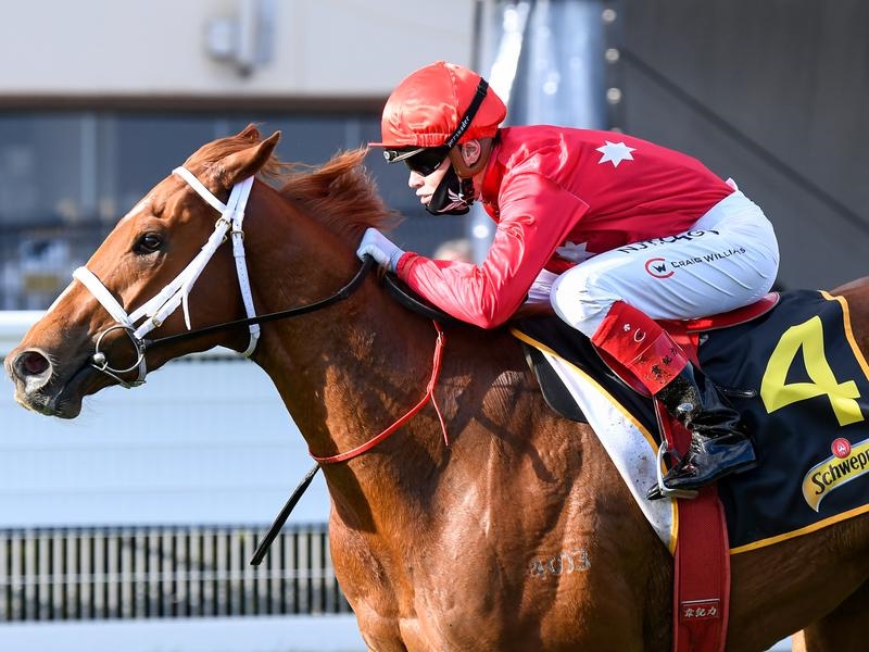 Caulfield Preludes | Just Horse Racing