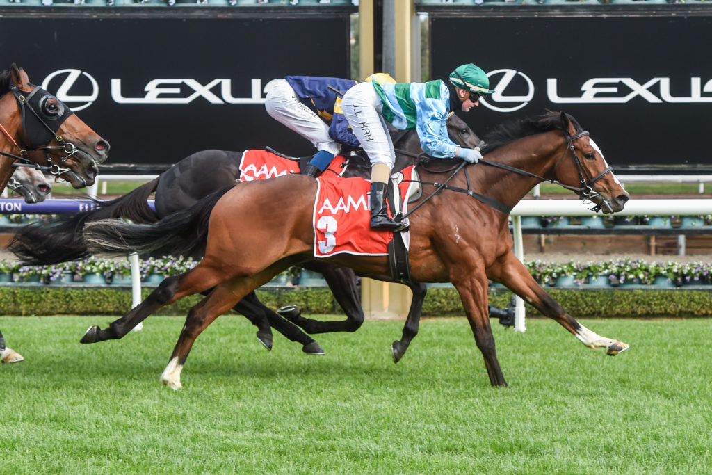 /r6/ | Just Horse Racing