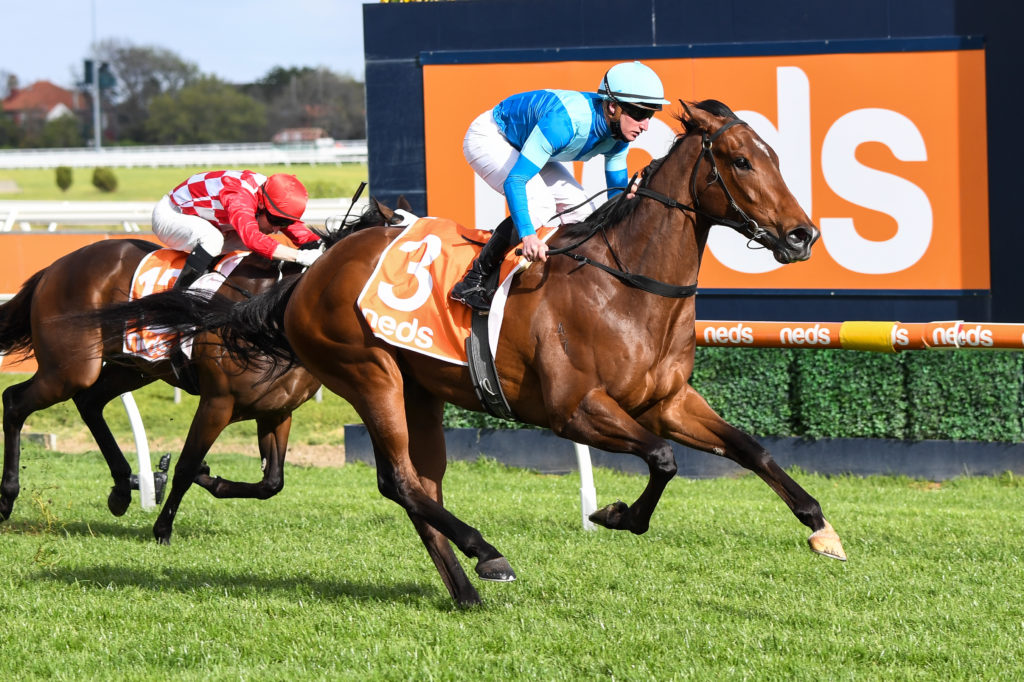 /r6/ | Just Horse Racing