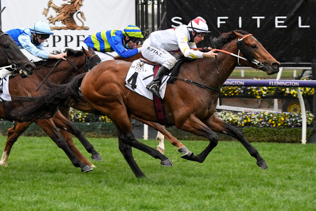 /r8/ | Just Horse Racing